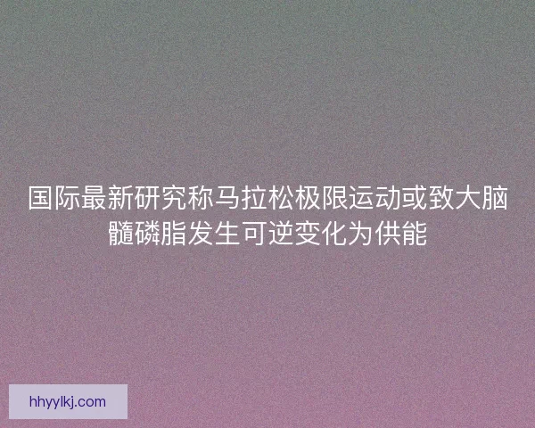 国际最新研究称马拉松极限运动或致大脑髓磷脂发生可逆变化为供能