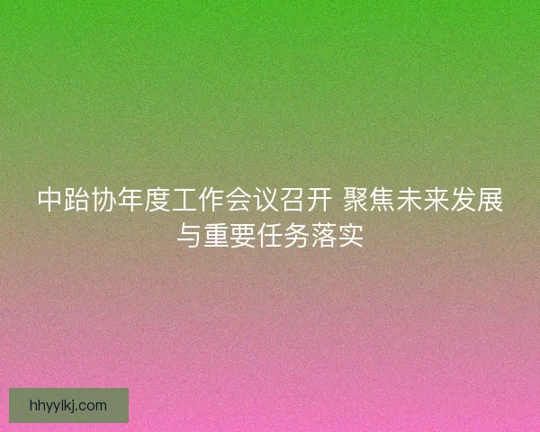 中跆协年度工作会议召开 聚焦未来发展与重要任务落实
